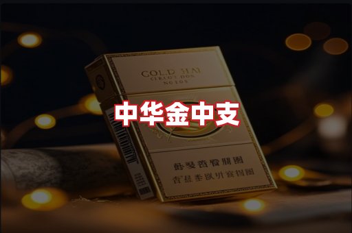 中华金中支